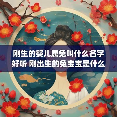 刚生的婴儿属兔叫什么名字好听 刚出生的兔宝宝是什么样子的