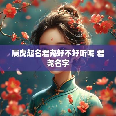 属虎起名君尧好不好听呢 君尧名字
