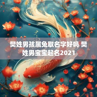 樊姓男孩属兔取名字好吗 樊姓男宝宝起名2025