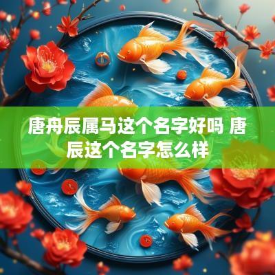 唐舟辰属马这个名字好吗 唐辰这个名字怎么样
