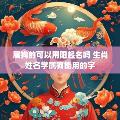 属狗的可以用阳起名吗 生肖姓名学属狗能用的字