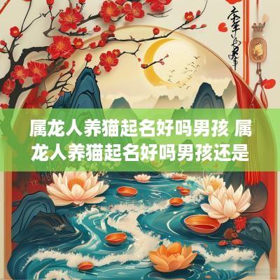 属龙人养猫起名好吗男孩 属龙人养猫起名好吗男孩还是女孩