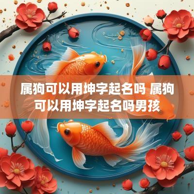 属狗可以用坤字起名吗 属狗可以用坤字起名吗男孩