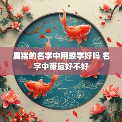 属猪的名字中用琼字好吗 名字中带琼好不好