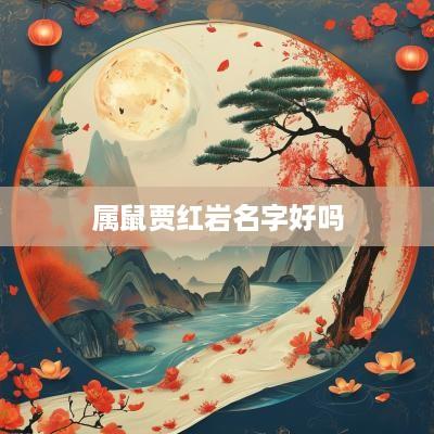 属鼠贾红岩名字好吗