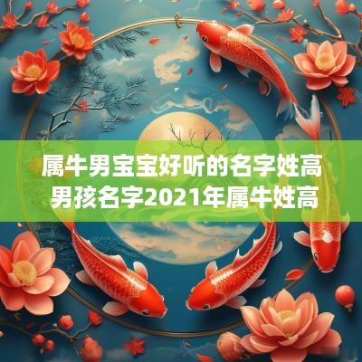 属牛男宝宝好听的名字姓高 男孩名字2025年属牛姓高