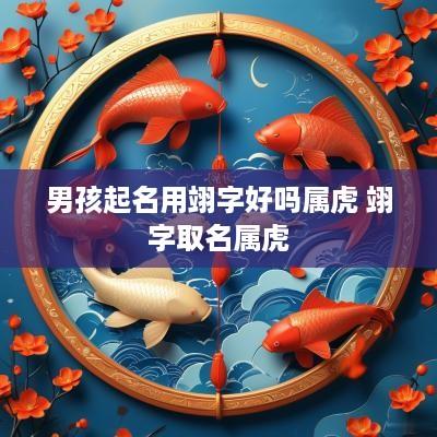 男孩起名用翊字好吗属虎 翊字取名属虎