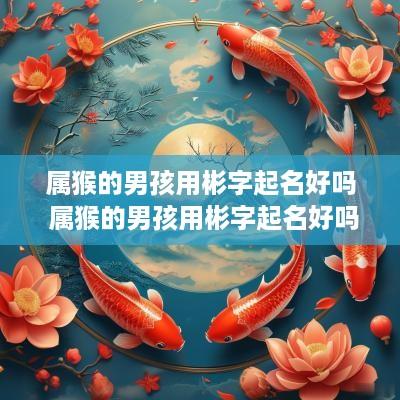 属猴的男孩用彬字起名好吗 属猴的男孩用彬字起名好吗