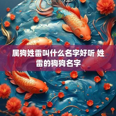 属狗姓雷叫什么名字好听 姓雷的狗狗名字