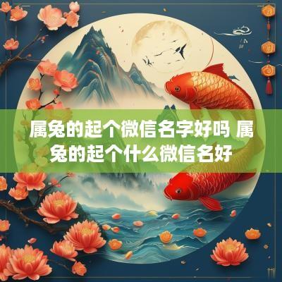 属兔的起个微信名字好吗 属兔的起个什么微信名好