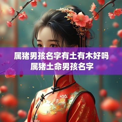 属猪男孩名字有土有木好吗 属猪土命男孩名字