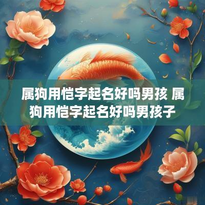 属狗用恺字起名好吗男孩 属狗用恺字起名好吗男孩子