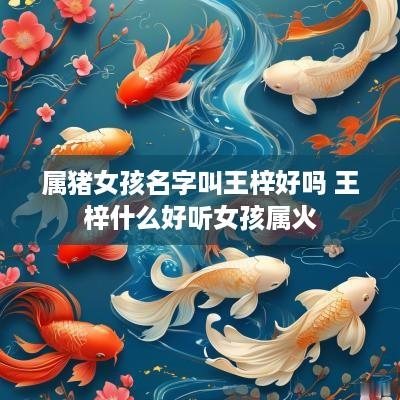 属猪女孩名字叫王梓好吗 王梓什么好听女孩属火