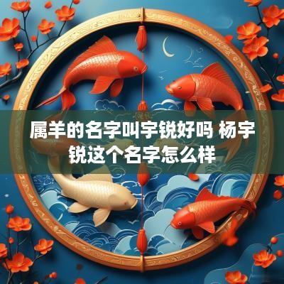 属羊的名字叫宇锐好吗 杨宇锐这个名字怎么样