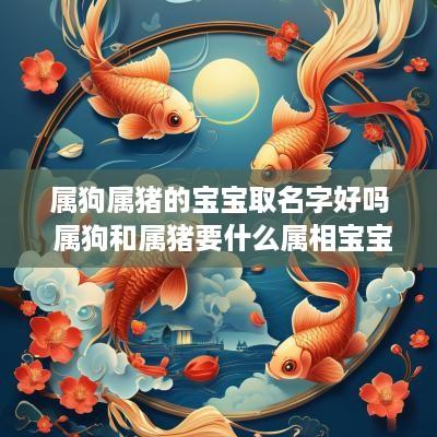 属狗属猪的宝宝取名字好吗 属狗和属猪要什么属相宝宝