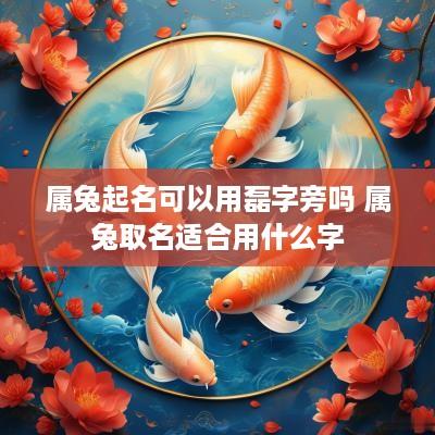 属兔起名可以用磊字旁吗 属兔取名适合用什么字