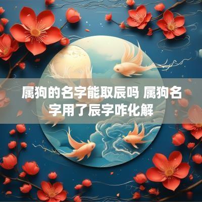 属狗的名字能取辰吗 属狗名字用了辰字咋化解