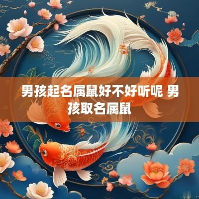 男孩起名属鼠好不好听呢 男孩取名属鼠
