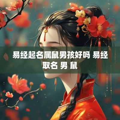 易经起名属鼠男孩好吗 易经取名 男 鼠