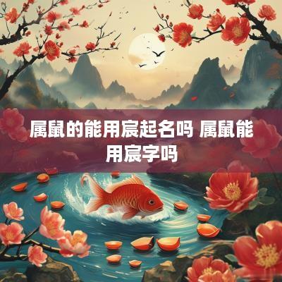 属鼠的能用宸起名吗 属鼠能用宸字吗