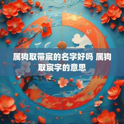 属狗取带宸的名字好吗 属狗取宸字的意思