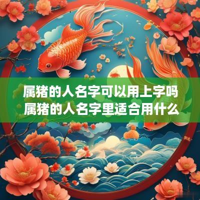 属猪的人名字可以用上字吗 属猪的人名字里适合用什么字
