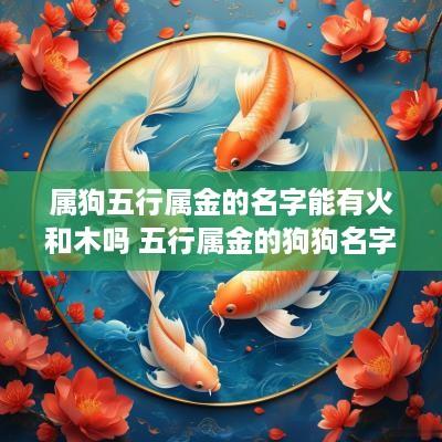 属狗五行属金的名字能有火和木吗 五行属金的狗狗名字