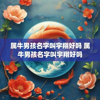 属牛男孩名字叫宇翔好吗 属牛男孩名字叫宇翔好吗