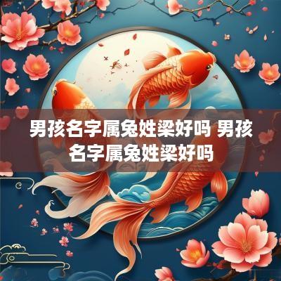 男孩名字属兔姓梁好吗 男孩名字属兔姓梁好吗