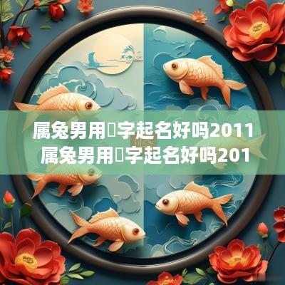 属兔男用喆字起名好吗2011 属兔男用喆字起名好吗2011年