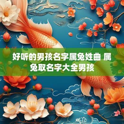 好听的男孩名字属兔姓曲 属兔取名字大全男孩
