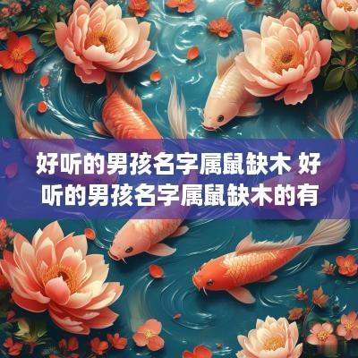 好听的男孩名字属鼠缺木 好听的男孩名字属鼠缺木的有哪些