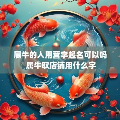 属牛的人用营字起名可以吗 属牛取店铺用什么字