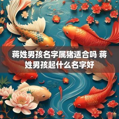 蒋姓男孩名字属猪适合吗 蒋姓男孩起什么名字好