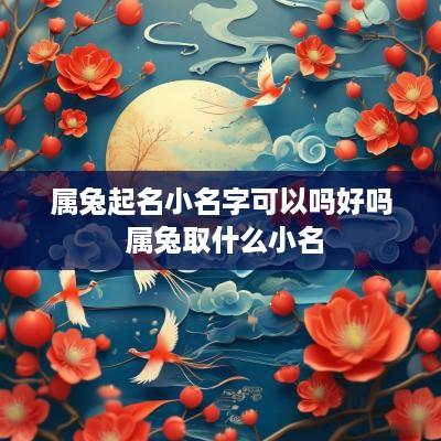 属兔起名小名字可以吗好吗 属兔取什么小名