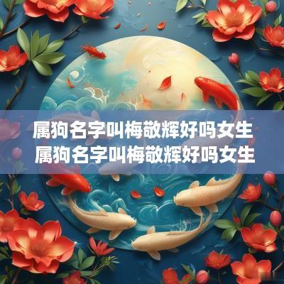 属狗名字叫梅敬辉好吗女生 属狗名字叫梅敬辉好吗女生