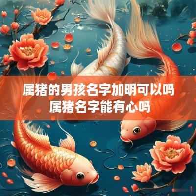 属猪的男孩名字加明可以吗 属猪名字能有心吗