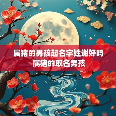 属猪的男孩起名字姓谢好吗 属猪的取名男孩