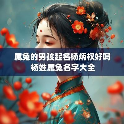 属兔的男孩起名杨炳权好吗 杨姓属兔名字大全