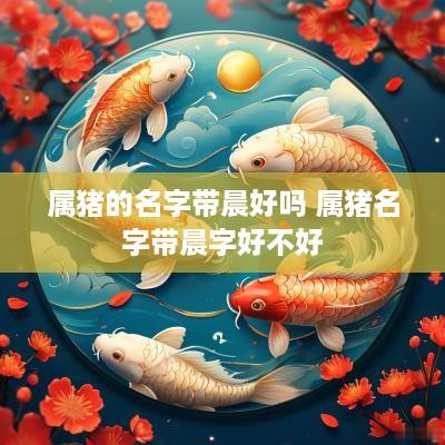 属猪的名字带晨好吗 属猪名字带晨字好不好