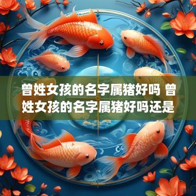 曾姓女孩的名字属猪好吗 曾姓女孩的名字属猪好吗还是属兔