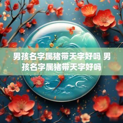 男孩名字属猪带天字好吗 男孩名字属猪带天字好吗
