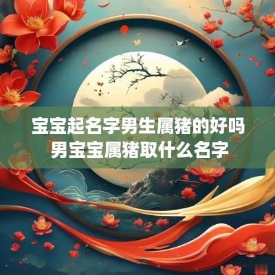 宝宝起名字男生属猪的好吗 男宝宝属猪取什么名字