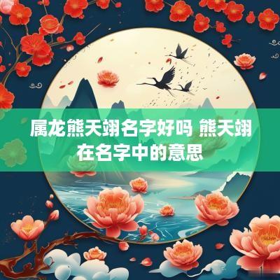 属龙熊天翊名字好吗 熊天翊在名字中的意思