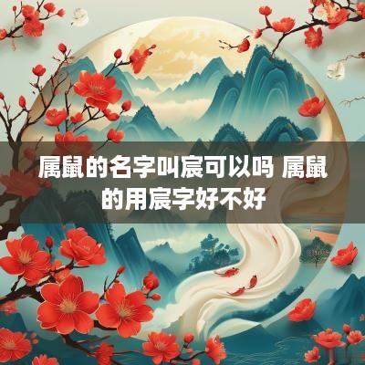 属鼠的名字叫宸可以吗 属鼠的用宸字好不好