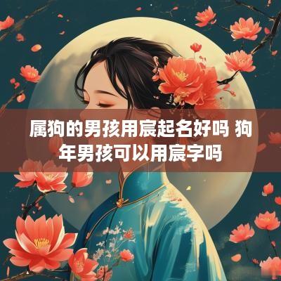 属狗的男孩用宸起名好吗 狗年男孩可以用宸字吗