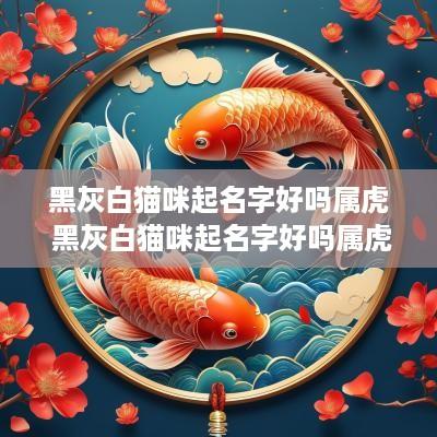 黑灰白猫咪起名字好吗属虎 黑灰白猫咪起名字好吗属虎的