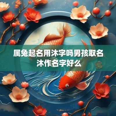 属兔起名用沐字吗男孩取名 沐作名字好么