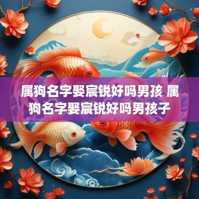 属狗名字娶宸锐好吗男孩 属狗名字娶宸锐好吗男孩子