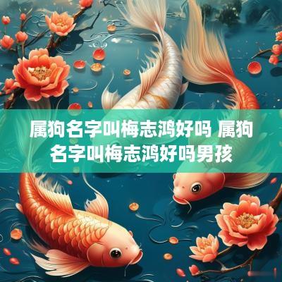 属狗名字叫梅志鸿好吗 属狗名字叫梅志鸿好吗男孩